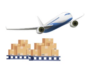 imgicon domestic air freight 2