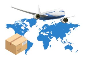 imgicon domestic air freight international