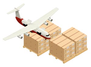 imgicon domestic air freight sensitive 2